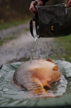 Solar Undercover Camo Foldable Unhooking Mat