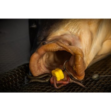 Pole Position Tungsten Bungee Boom