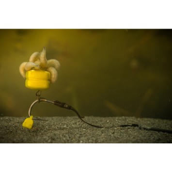 POLE POSITION Tungsta Corn Shot