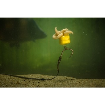 Pole Position Corn Maggot Clip Double