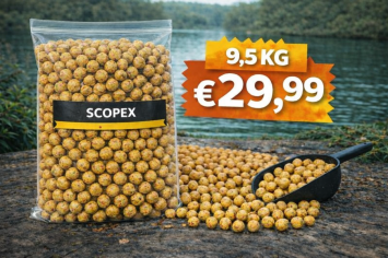 Scopex Boilies 9,5kg