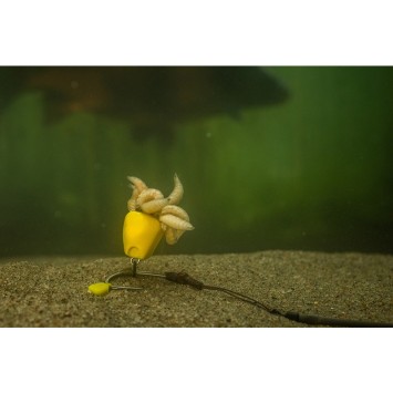 Pole Position Corn Maggot Clip Double