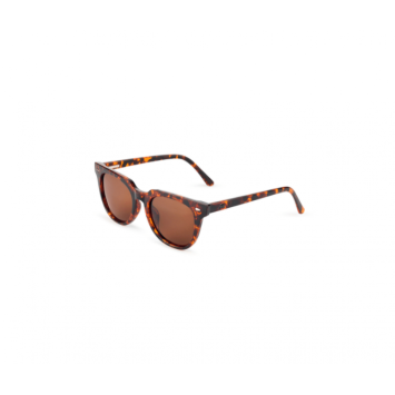 Fortis Cat Eyes Brown 24/7
