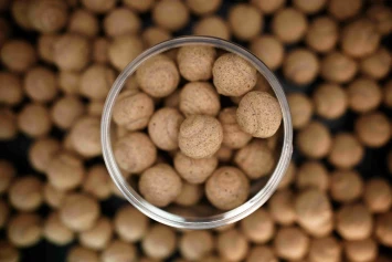 Forgotten Flavours Insect [100% NATURAL] Wafters 