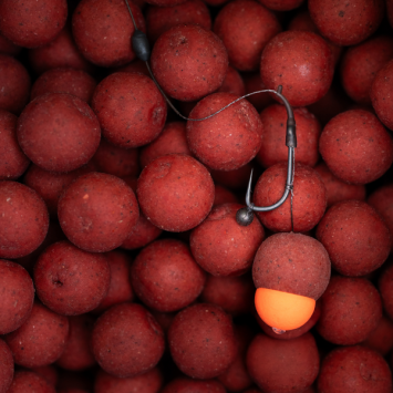 Proline Mulberry & Robin Red 25kg Bulk Deal