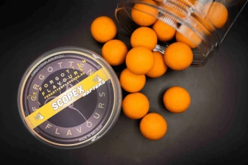 Forgotten Flavours Scopex Wafters 20 mm