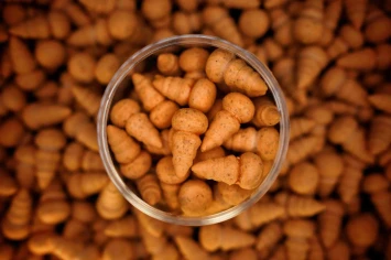 Shrimp [100% NATURAL] pop-ups