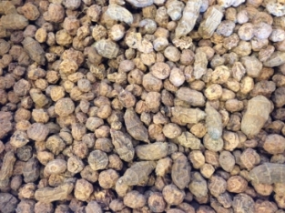 Tijgernoten Mix 6 -15mm 20 kg