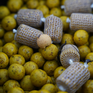 Proline Sweet Maggot & Cream 100 kg Bulk Deal