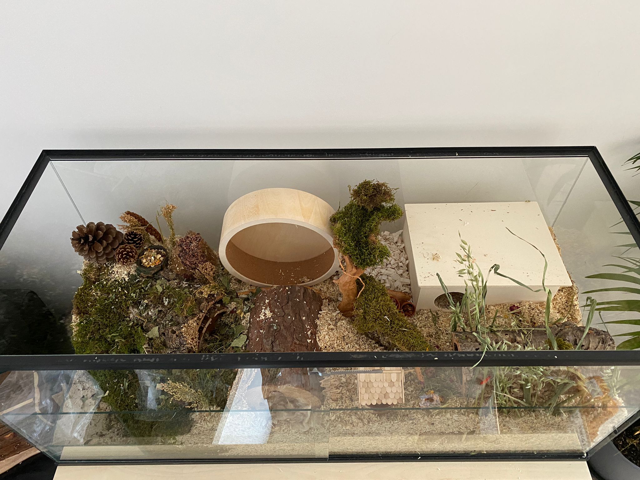 Terrarium voor hamster met schuifruiten zonder plateaus - vast voorschot