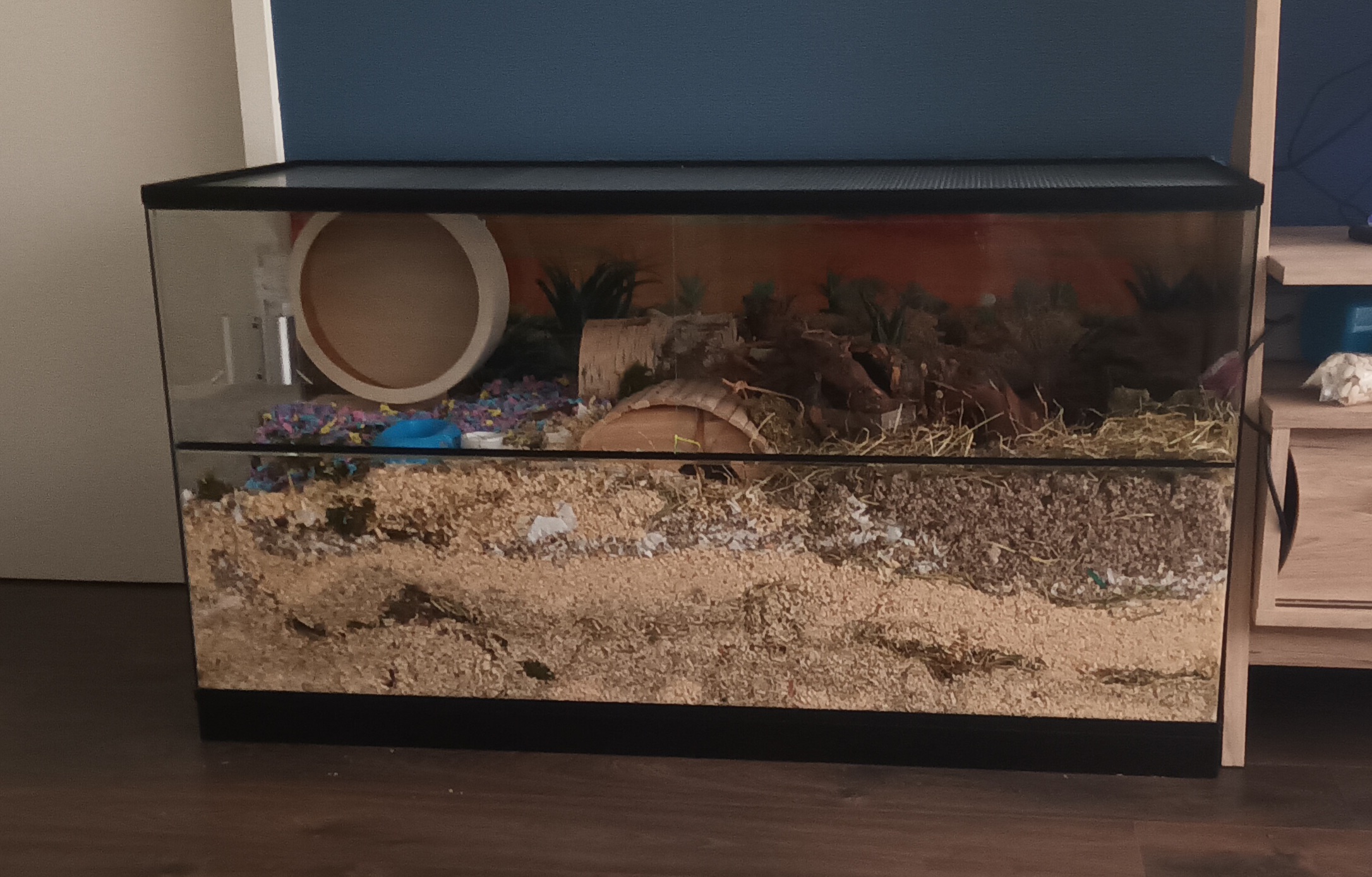Gebruikte Hamster Terrarium 100x50x60 in perfecte staat!