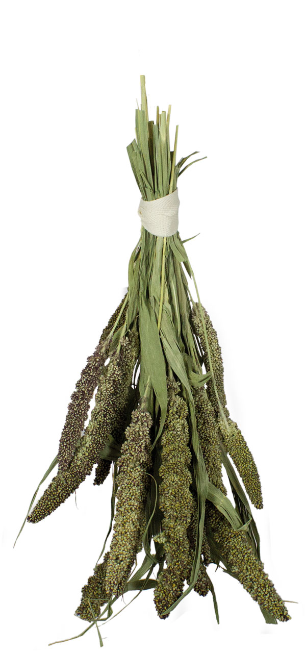 Gerbil Bouquet Groene Senegal Gierst 50 gram