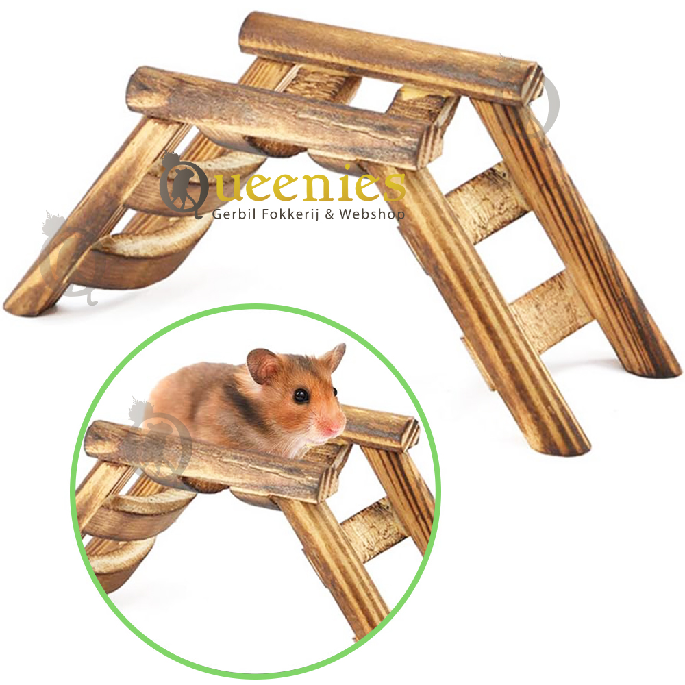 Ladder voor Roborovski hamsters