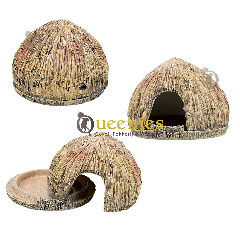 Multifunctionele kokosnoot voor in Hamsterscaping