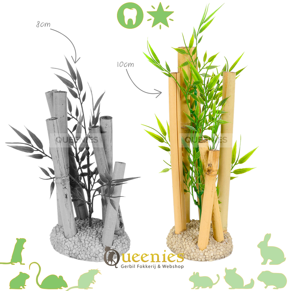 Duurzame Bamboe in Knaagdieren Terrarium