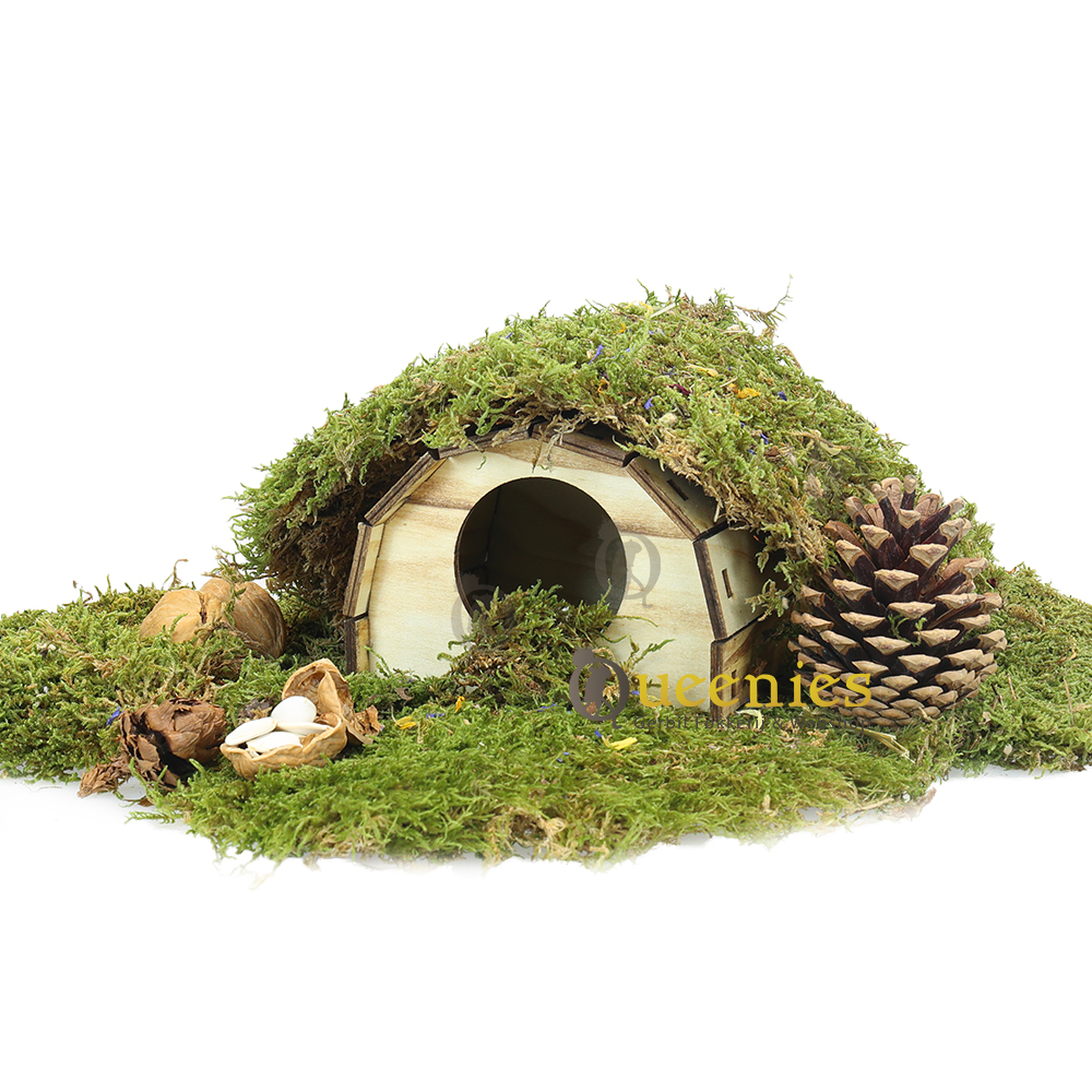 Hamsterscaping met houten Knaagdierhuisjes