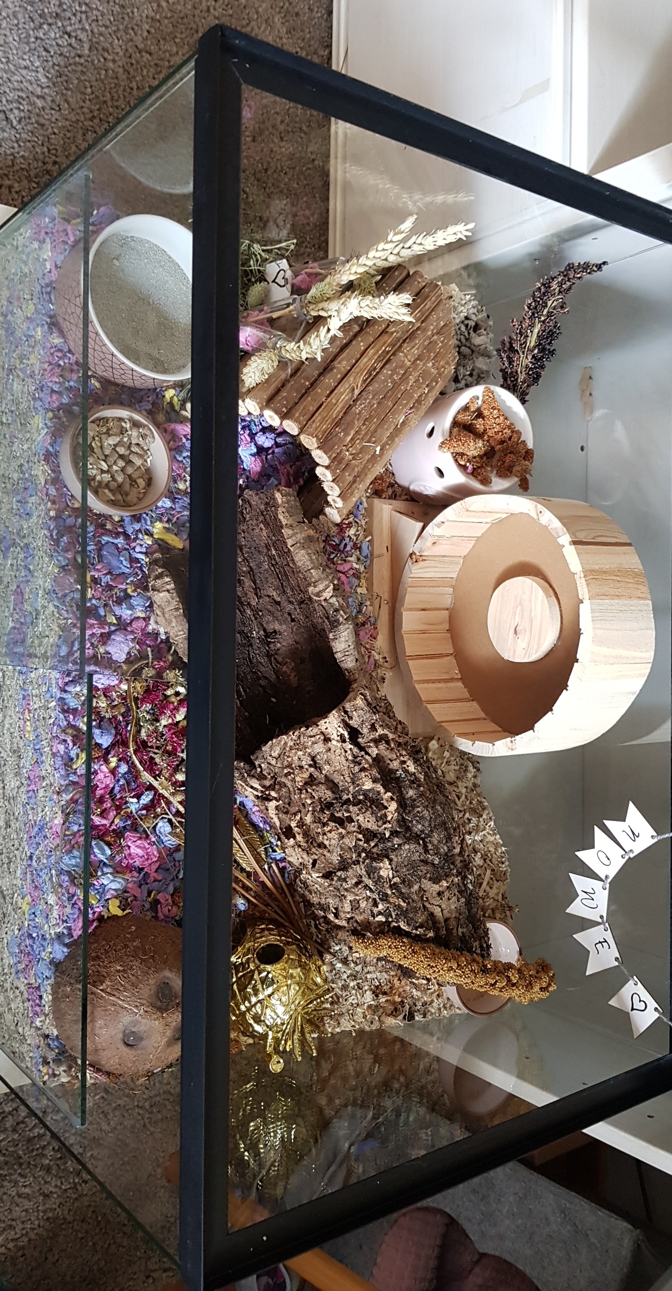 Hamster terrarium met vast voorschot en schuifruit van bodem tot deksel - zonder plateaus