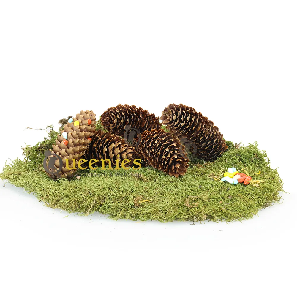 Dennenappels Natuurlijke Kleine Dennenappels Decoratie In Net 25 35cm 300g