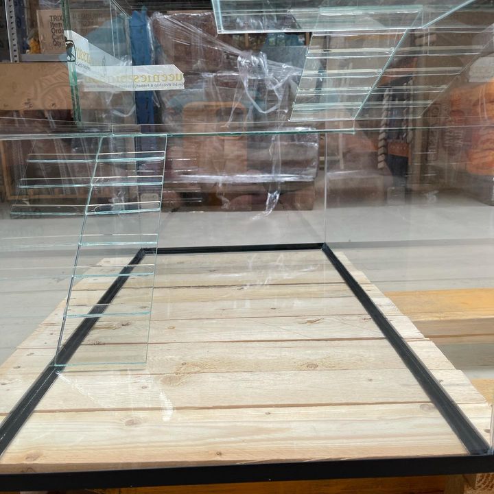 Glazen trap 40 cm voor Ratten