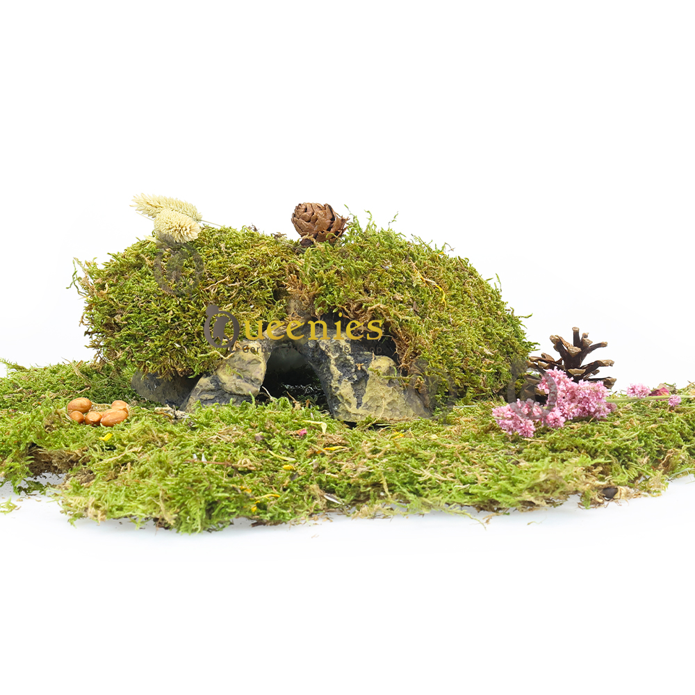 Hamstercape grot voor Dwerghamster