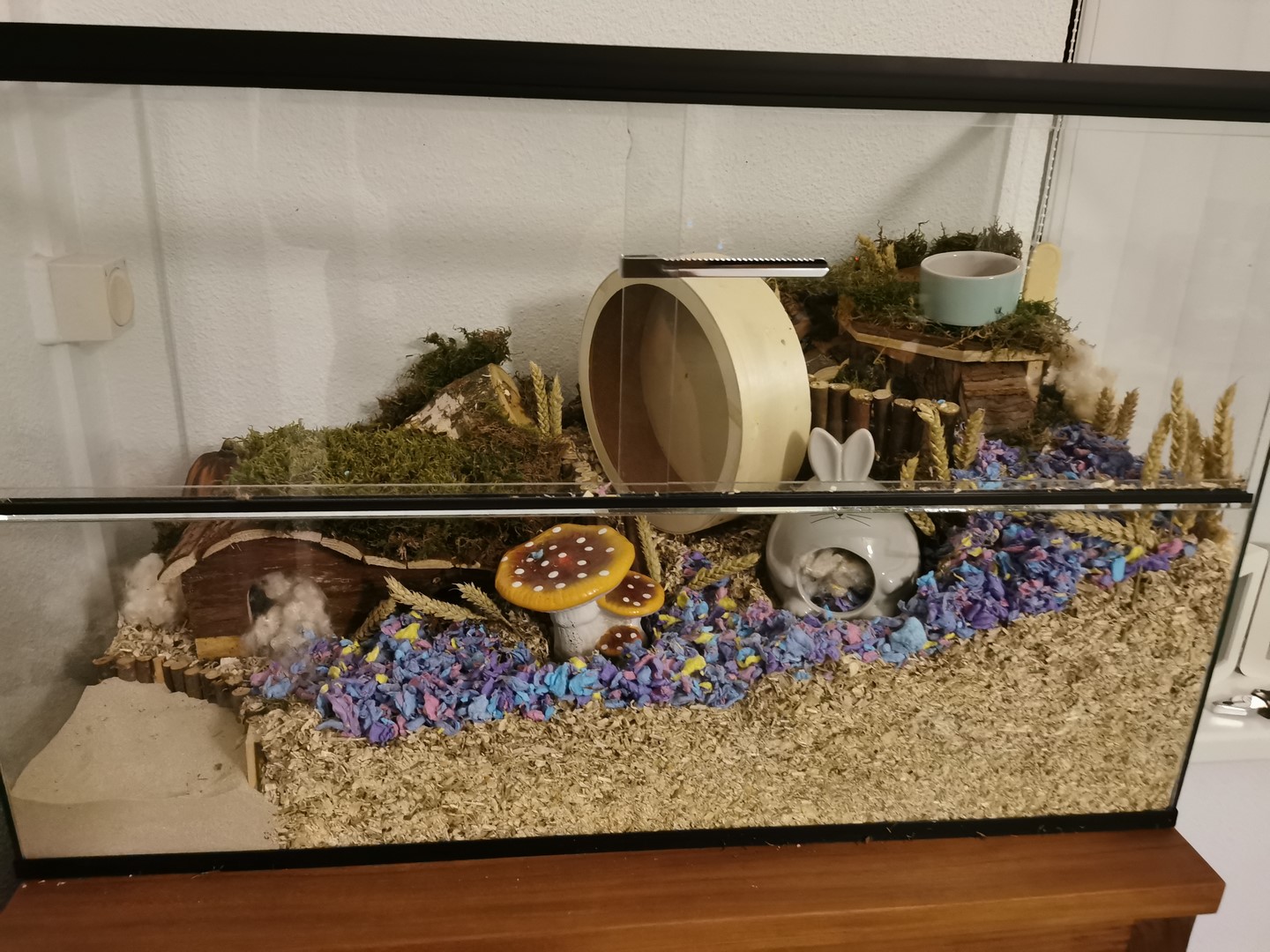Hamsterkooi terrarium van glas met schuifruiten zonder plateaus