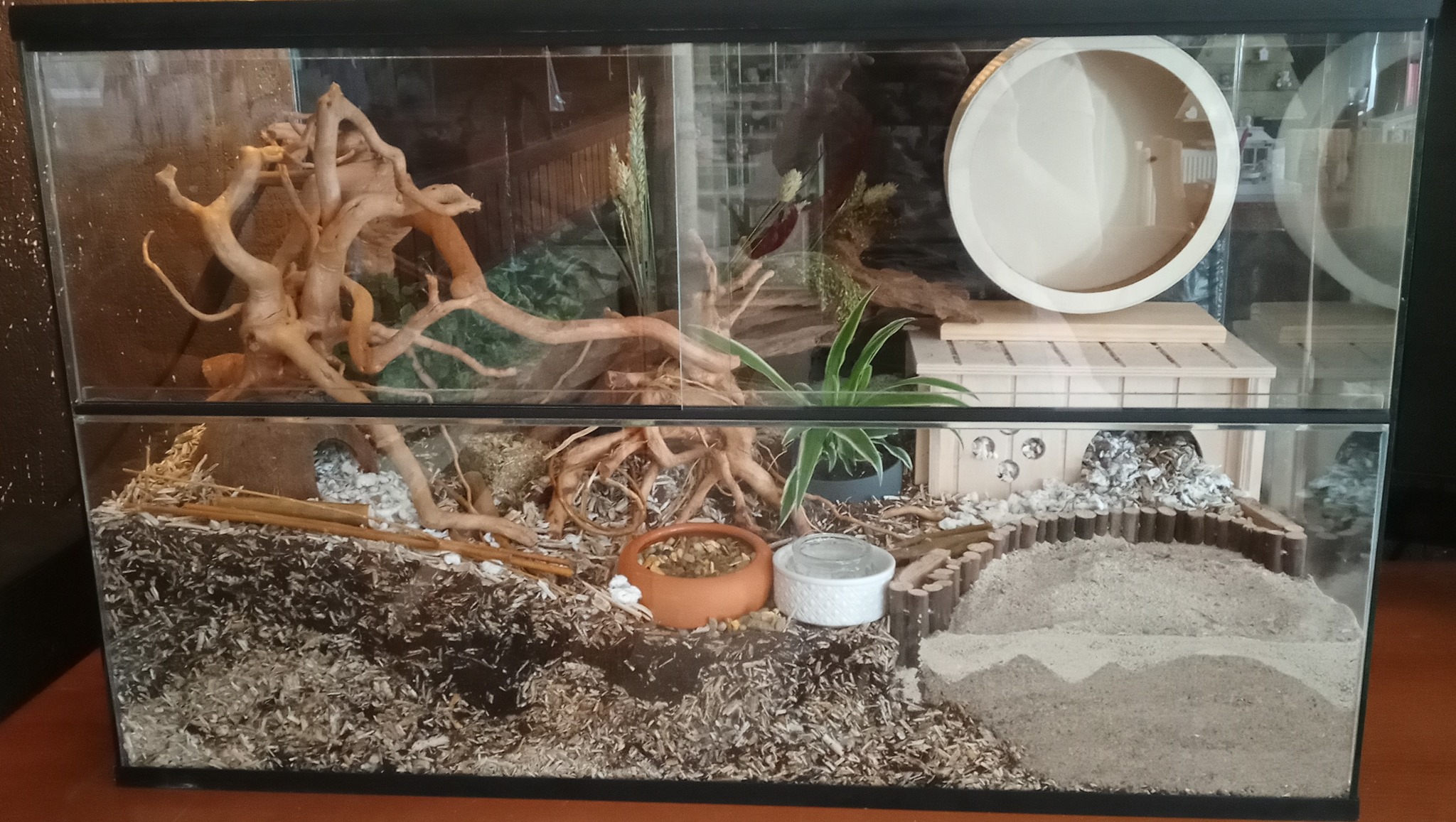 Terrarium voor hamster van glas met schuifruiten en cat proof