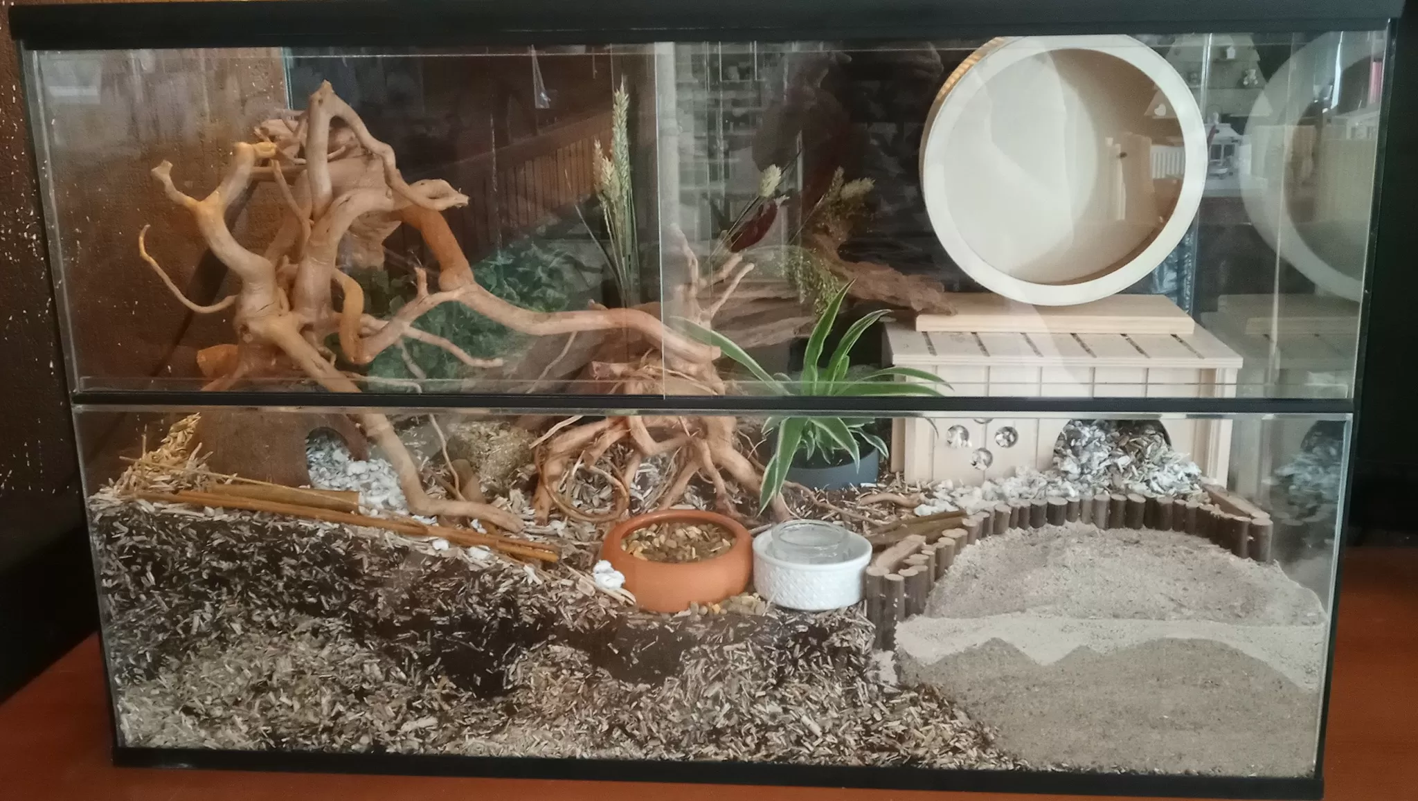 Fantasie Rijke man Ramkoers Hamster terrarium met schuifruiten zonder plateaus - Hamsterscaping