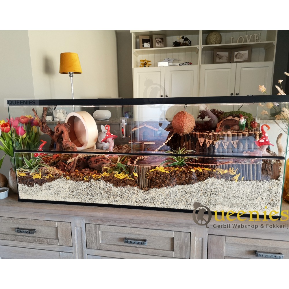Hamster terrarium van glas in grote maten