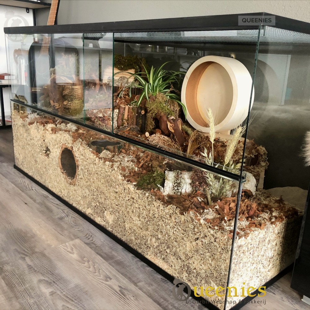 150x50x50 grote knaagdieren terrarium van glas met schuifruiten