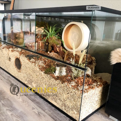 Hamster terrarium 120x60x60 met houten loopwiel