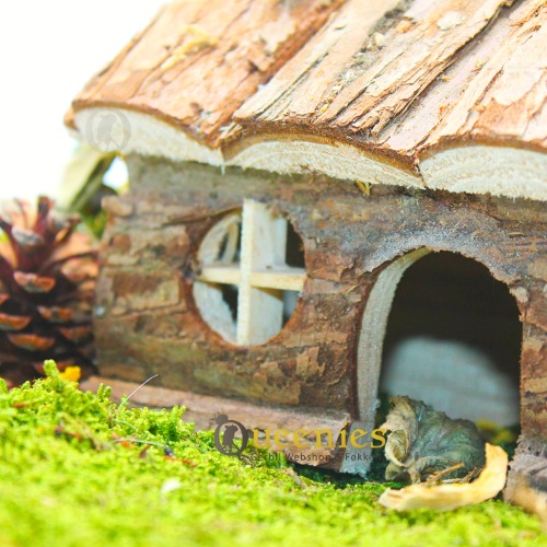 Hamsterscaping met huisje Hendrik van Trixie