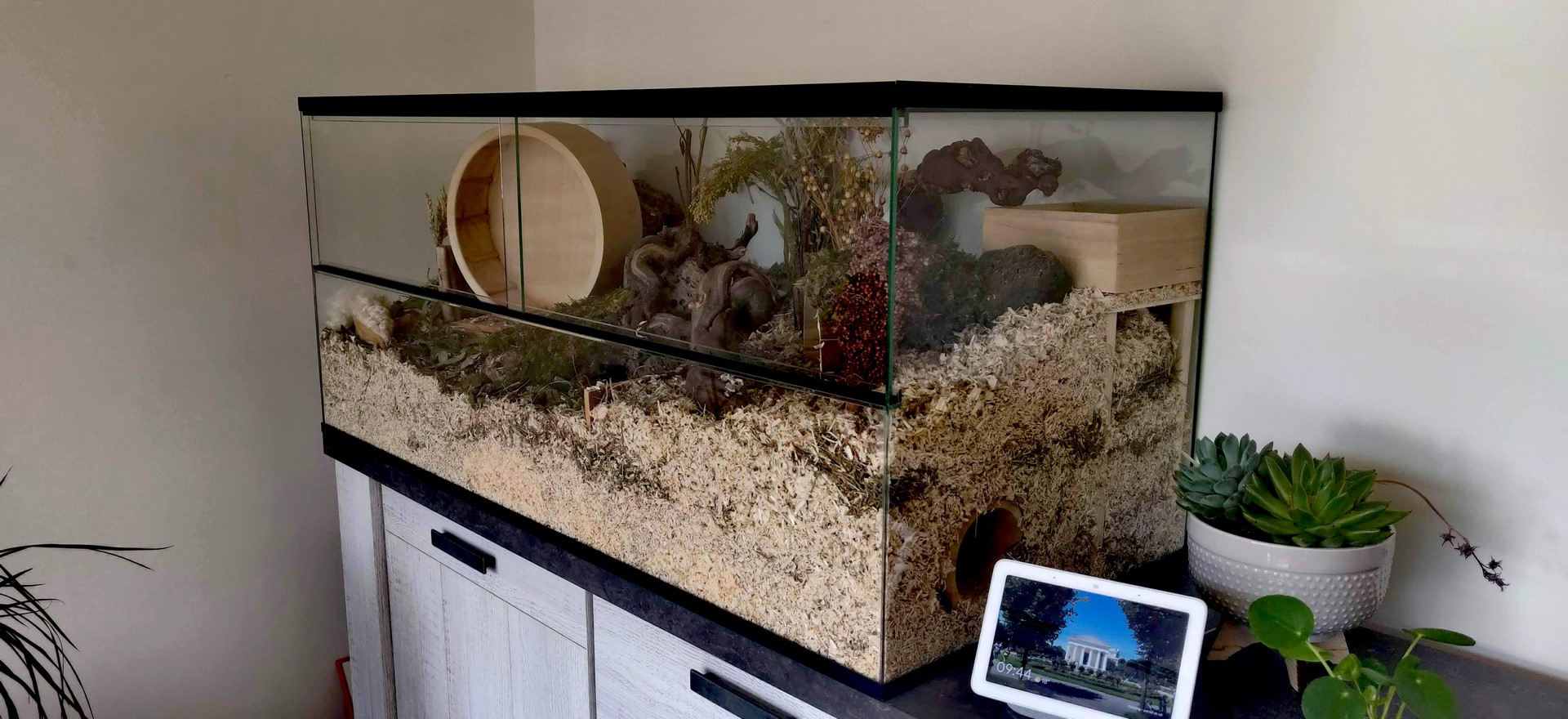 Glazen knaagdieren terrarium voor hamster met schuifruiten