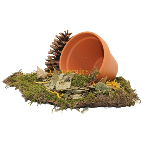 Terracotta pot voor Hamsterscaping
