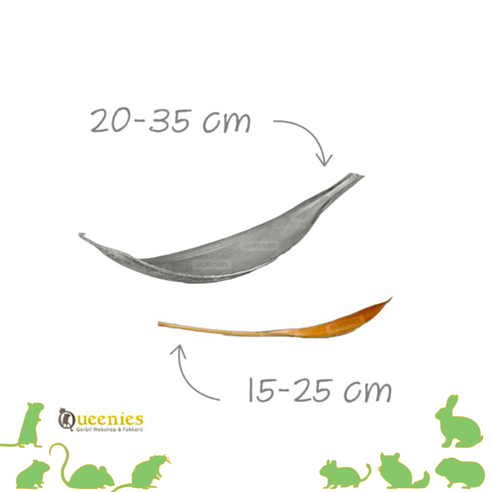 Knaagdieren dienblad - Kokosnootschil 20-35 cm