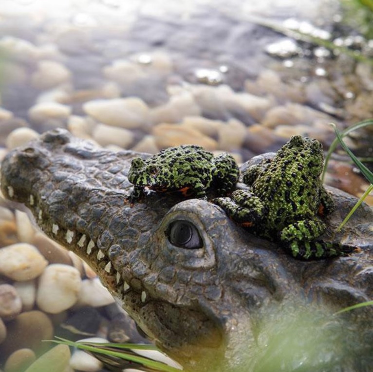 Krokodil Floating Island