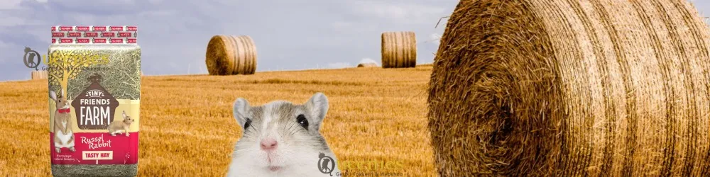 Supremes Meadow Hay is een stof vrije hooi voor allergische gerbils