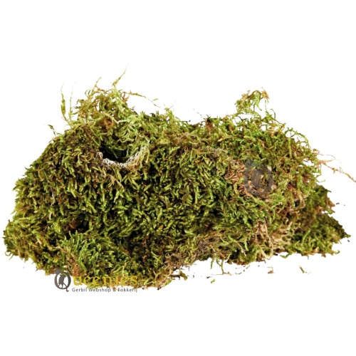 Gedroogd terrarium mos in hamsterscaping