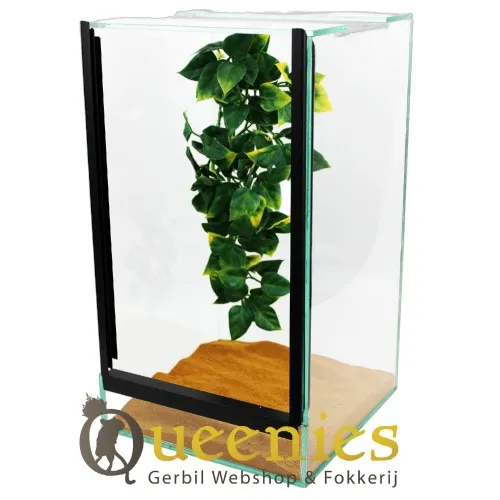 Insecten terrarium voor de kweek van spinnen of wandelende takken