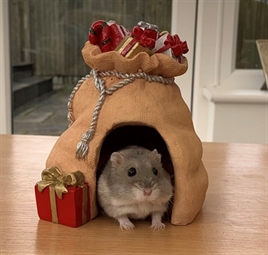 Gerbil en hamsterhuis Kerstzak