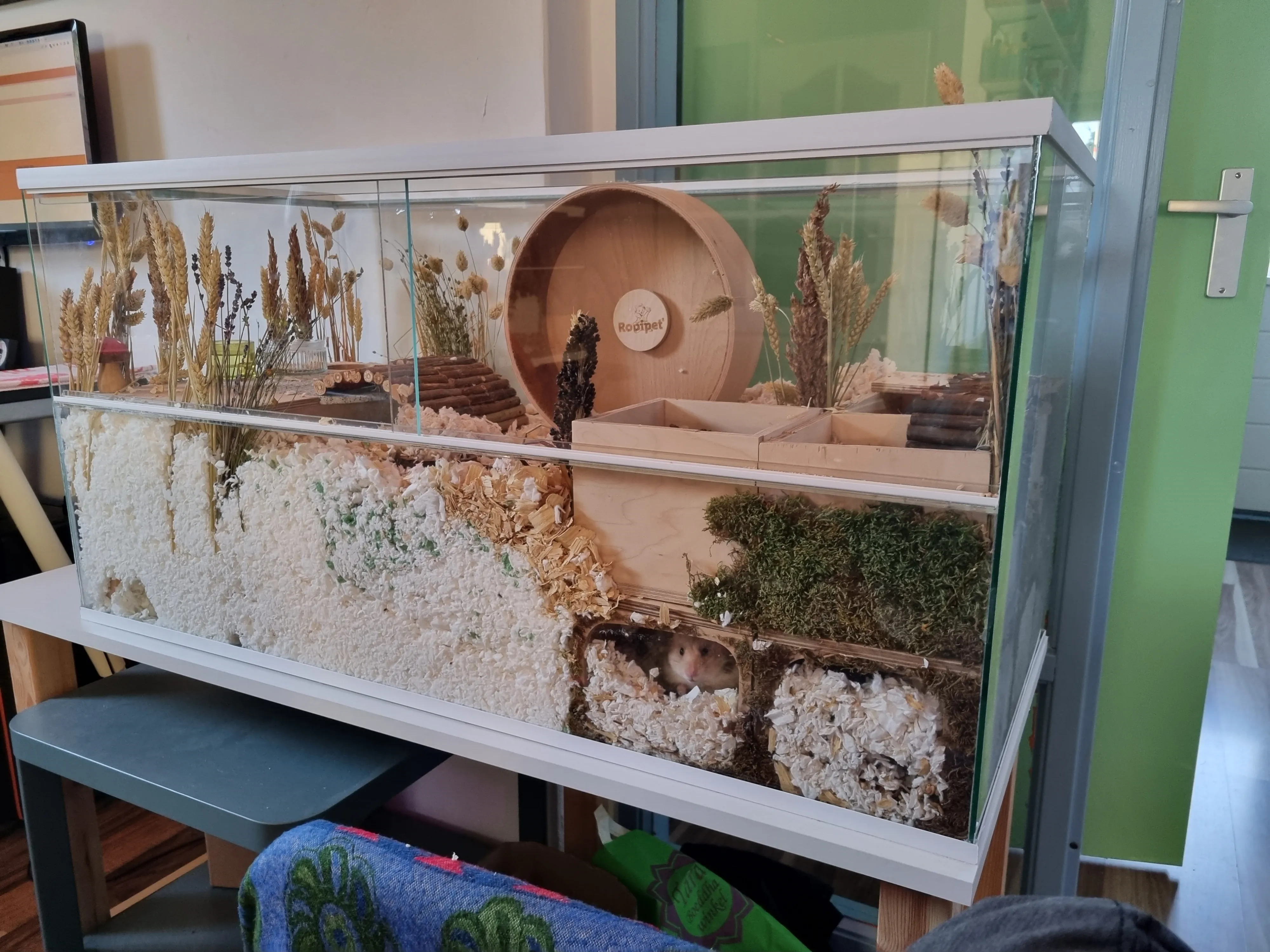 Tweedehands wit 100x45x50 Hamster Terrarium - nieuwstaat Hamsterkooi