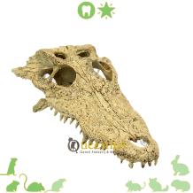 Exo Terra Krokodillen schedel voor kleine Knaagdieren in Hamsterscape Thema