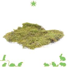 Gedroogd terrarium Mos 200 gram