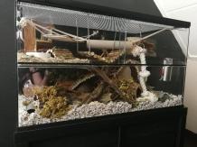 Gerbil / hamster Terrarium 40 hoog varianten