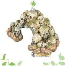 Doodshoofd grot voor kleine Knaagdieren