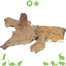 Extreem groot houtwortel van Mopani hout