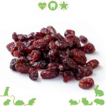 images/productimages/small/fruitmix200gram-vijfmangocranberry-qldieren.e740.jpg