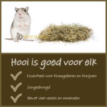 Gerbil hooi, alpenhooi