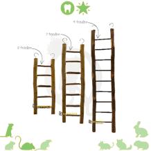 Ladder hout knaagdier en vogel 26 cm