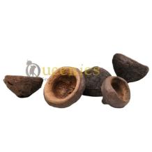 Notendop als snackbak 5-10 cm