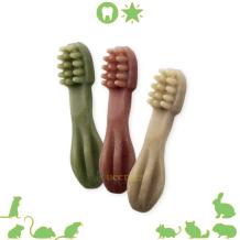 images/productimages/small/tandenborstelegelkrokodil-qldieren.d457.jpg
